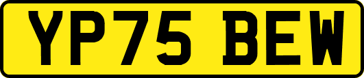YP75BEW