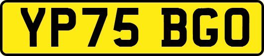 YP75BGO