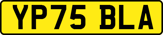 YP75BLA