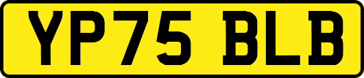 YP75BLB