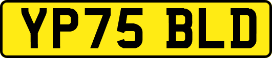 YP75BLD