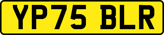 YP75BLR