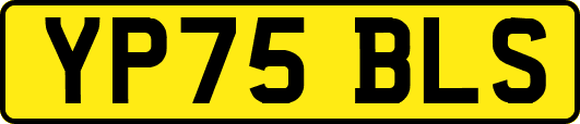 YP75BLS
