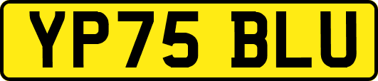 YP75BLU