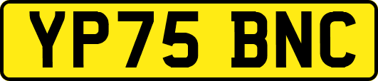 YP75BNC