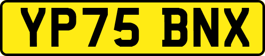 YP75BNX