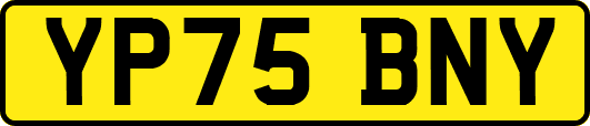 YP75BNY