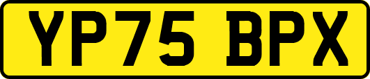 YP75BPX