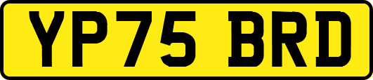 YP75BRD