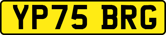 YP75BRG