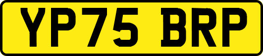 YP75BRP