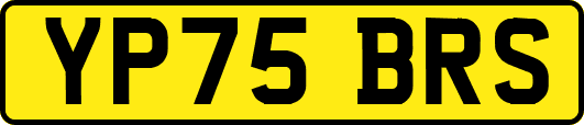 YP75BRS
