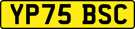 YP75BSC