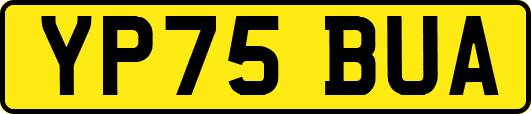 YP75BUA