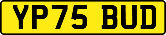 YP75BUD