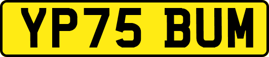 YP75BUM