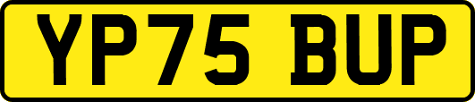 YP75BUP
