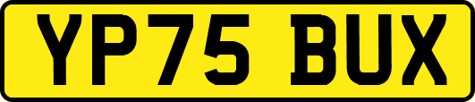YP75BUX