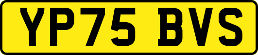 YP75BVS