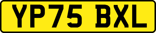 YP75BXL