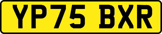 YP75BXR