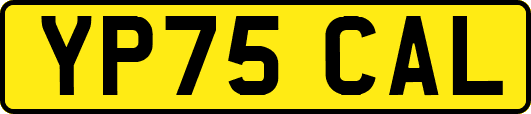 YP75CAL