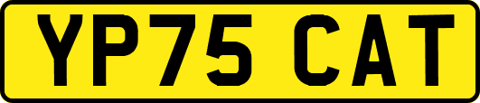 YP75CAT