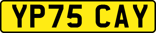 YP75CAY