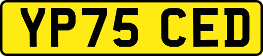 YP75CED