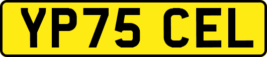 YP75CEL
