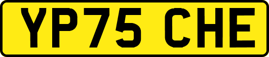 YP75CHE