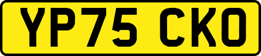 YP75CKO