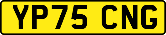 YP75CNG