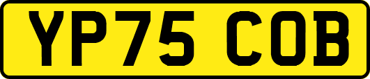 YP75COB
