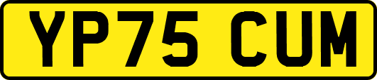 YP75CUM