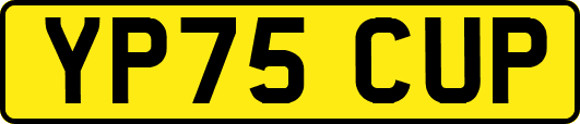 YP75CUP