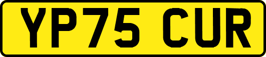 YP75CUR