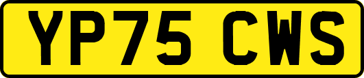 YP75CWS