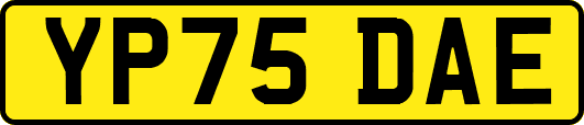 YP75DAE