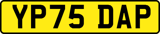 YP75DAP