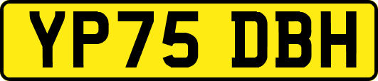 YP75DBH