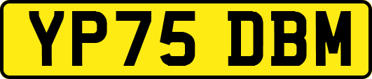 YP75DBM