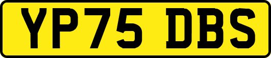 YP75DBS