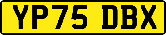 YP75DBX