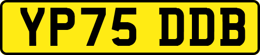 YP75DDB