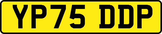 YP75DDP