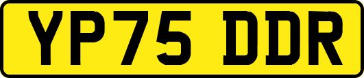 YP75DDR