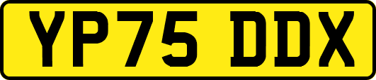 YP75DDX