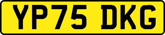 YP75DKG
