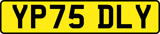 YP75DLY